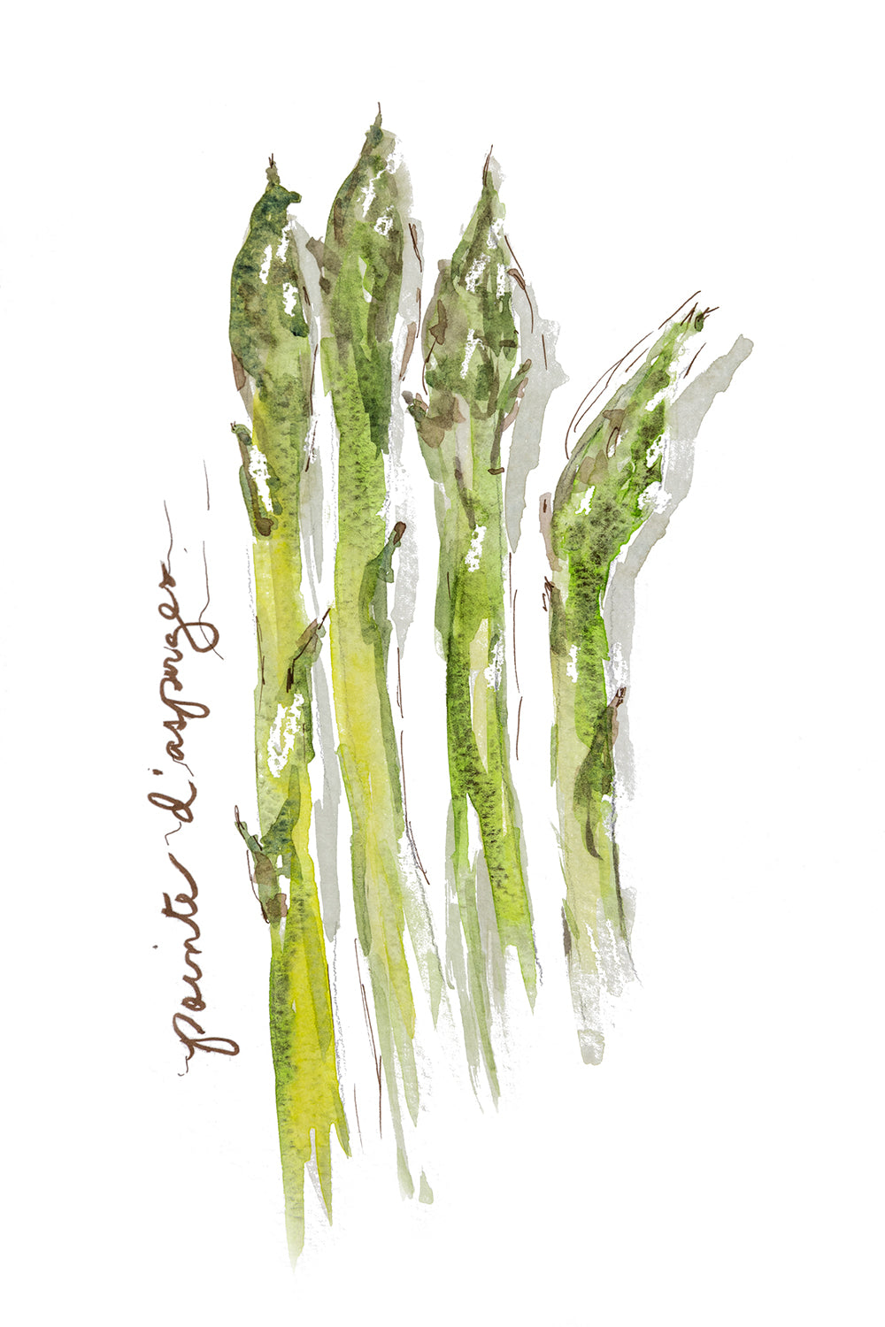 Asparagus 1