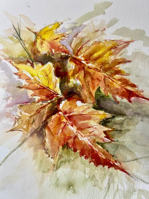 Fall Leaves