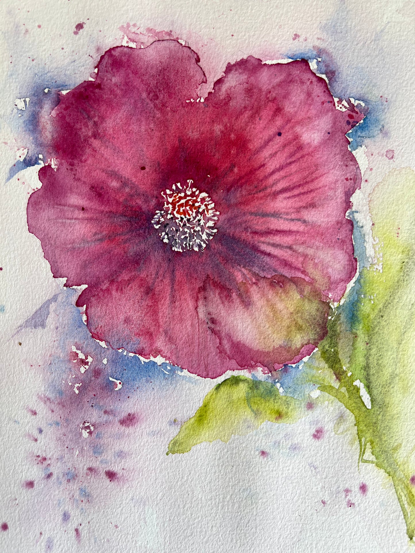 Red Watercolor Hibiscus