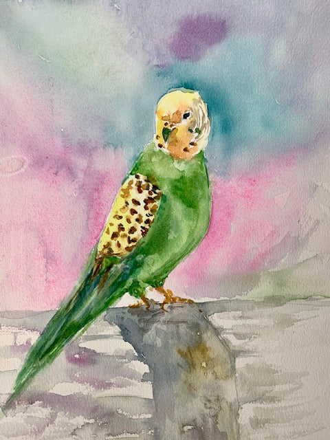 The Parakeet